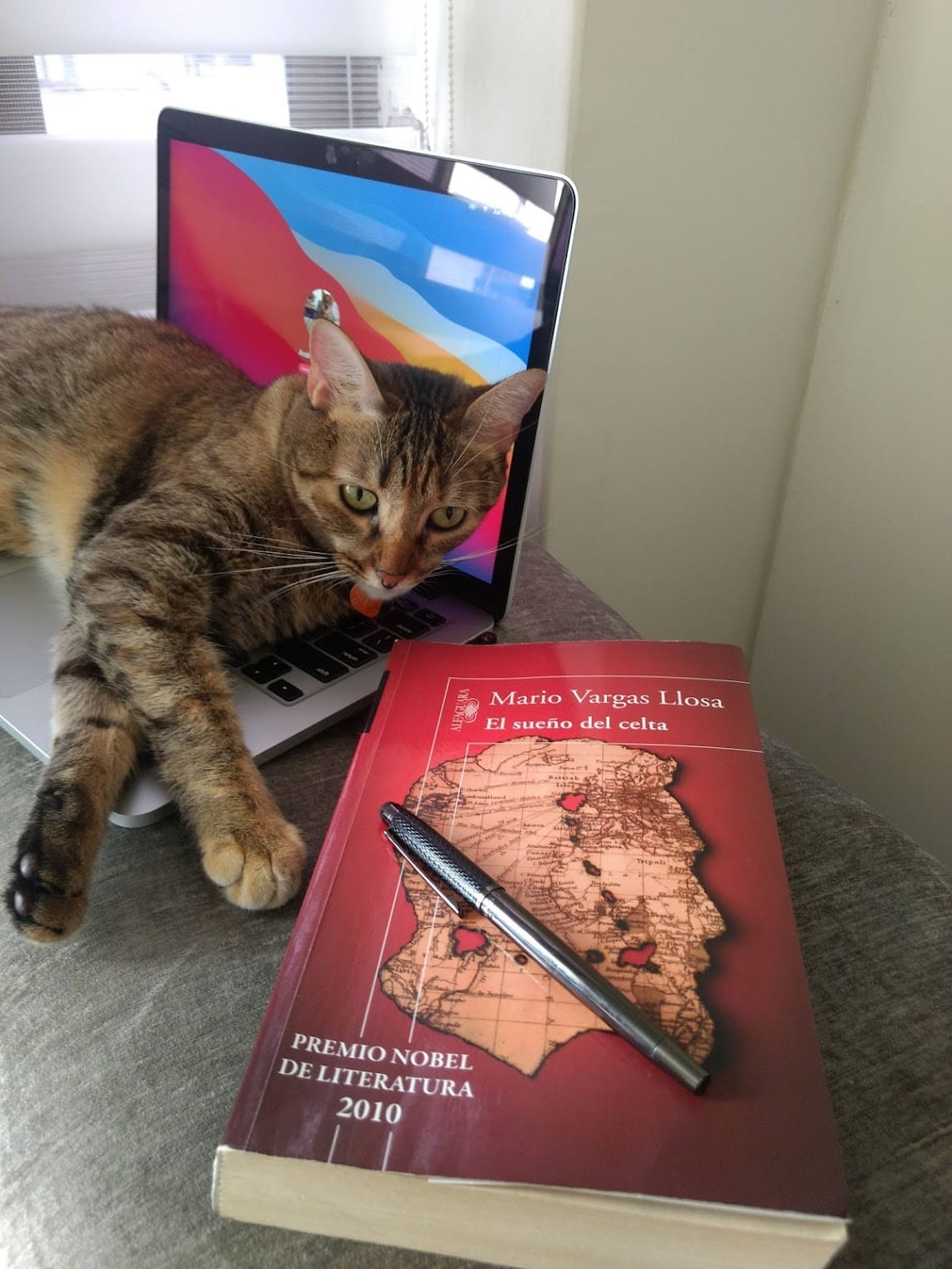 Marzo 1 de 2021 - El Sueño del Celta - Mario Vargas Llosa