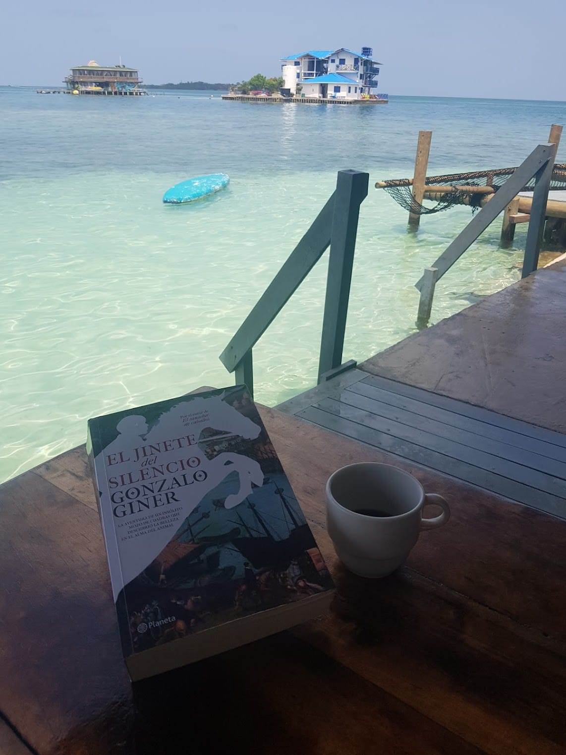 Febrero 9 de 2021 - El Jinete del Silencio - Gonzalo Giner