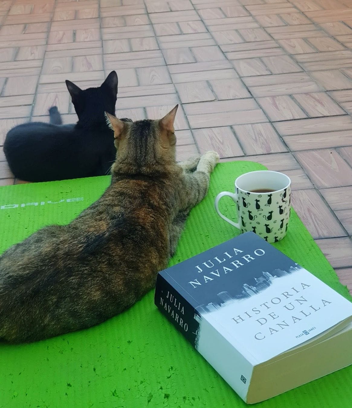 Mayo 22 de 2021 - Historia de un Canalla - Julia Navarro