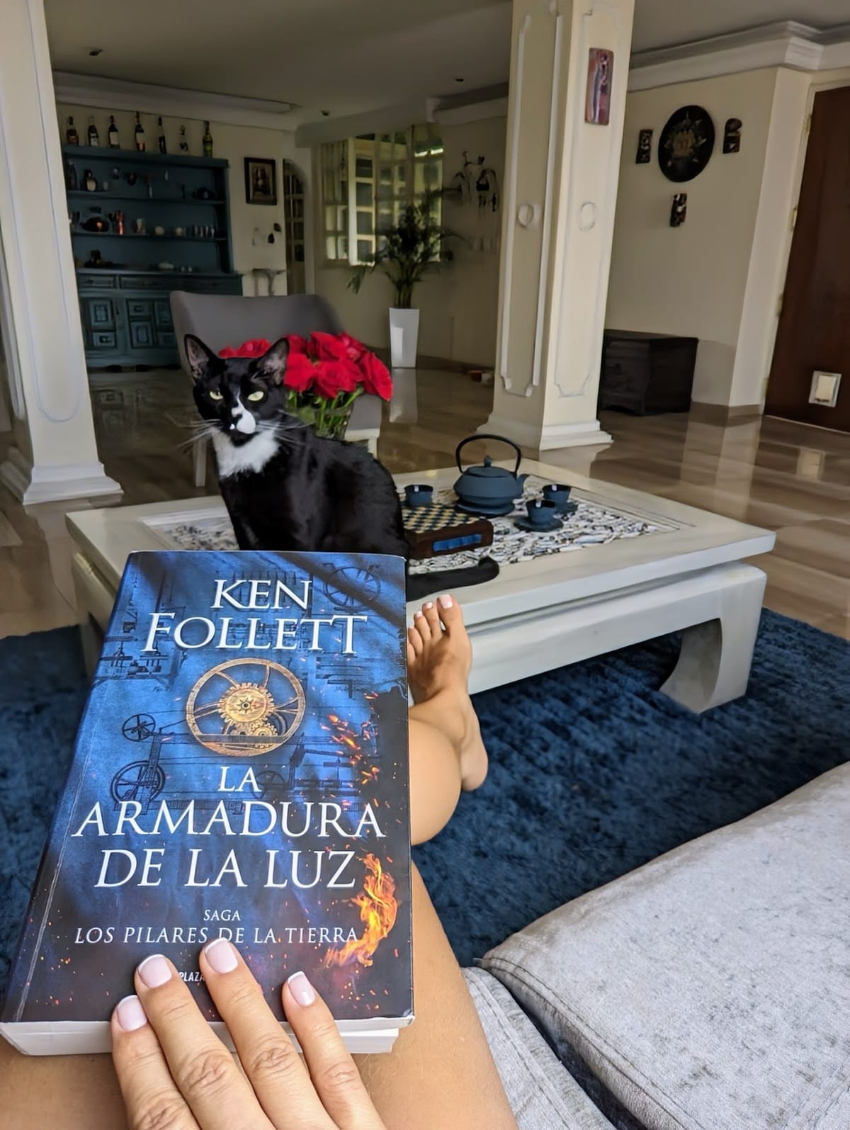 Diciembre 23 de 2023 - La Armadura de Luz - Ken Follett