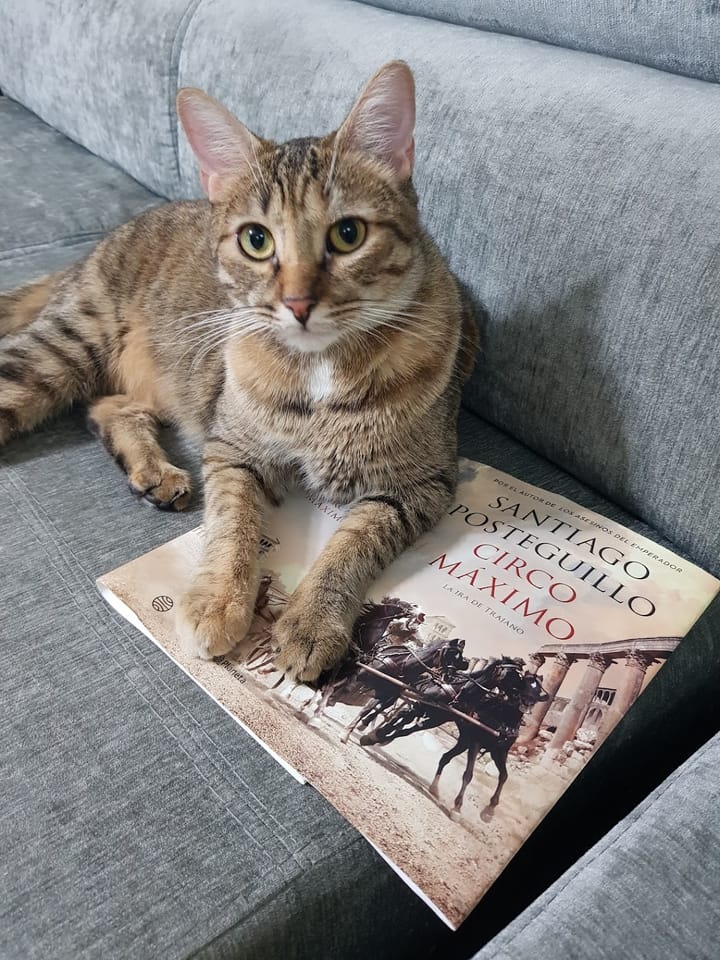 La mejor compañero de lectura- Akira