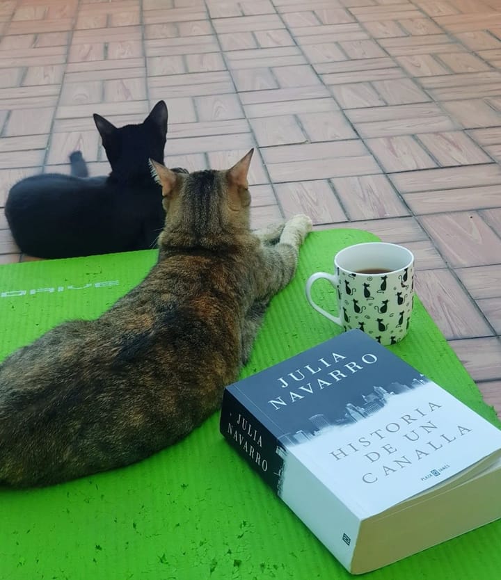 Mayo 22 de 2021 - Historia de un Canalla - Julia Navarro